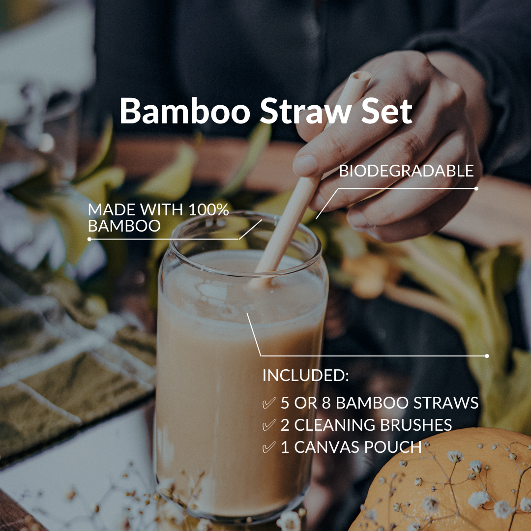 BAMBOO STRAW SET